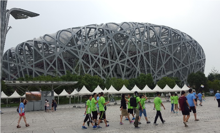 birdnest in olympic area